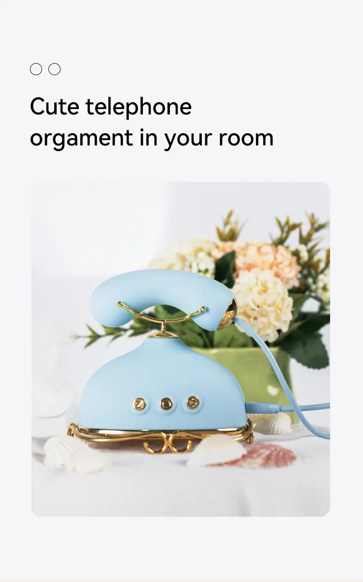 RETRO TELEPHONE MASSAGER 3 TELEPHONE details 3