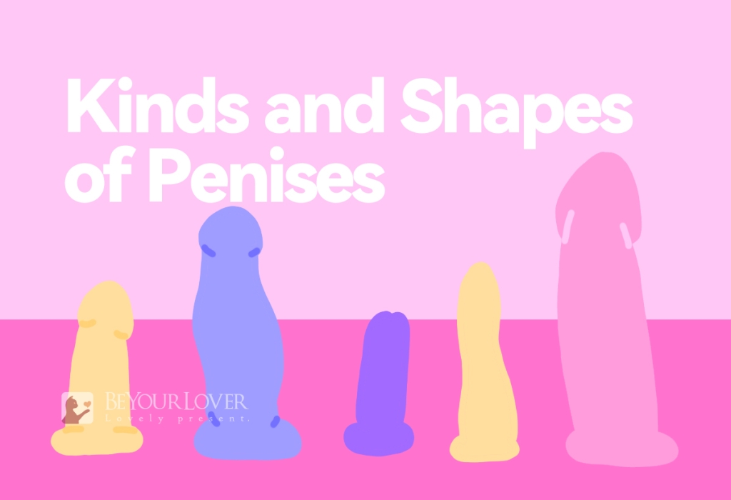 different kinds of penises