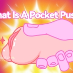What ls A Pocket Pussy