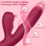 rabbit vibrator main pictures 03